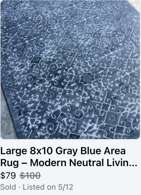 Gray Area Rug, sold $79
